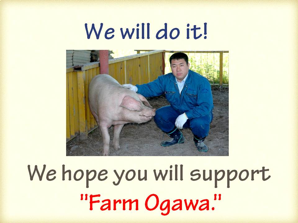 Business description Hog raising │ OGAWA GROUP