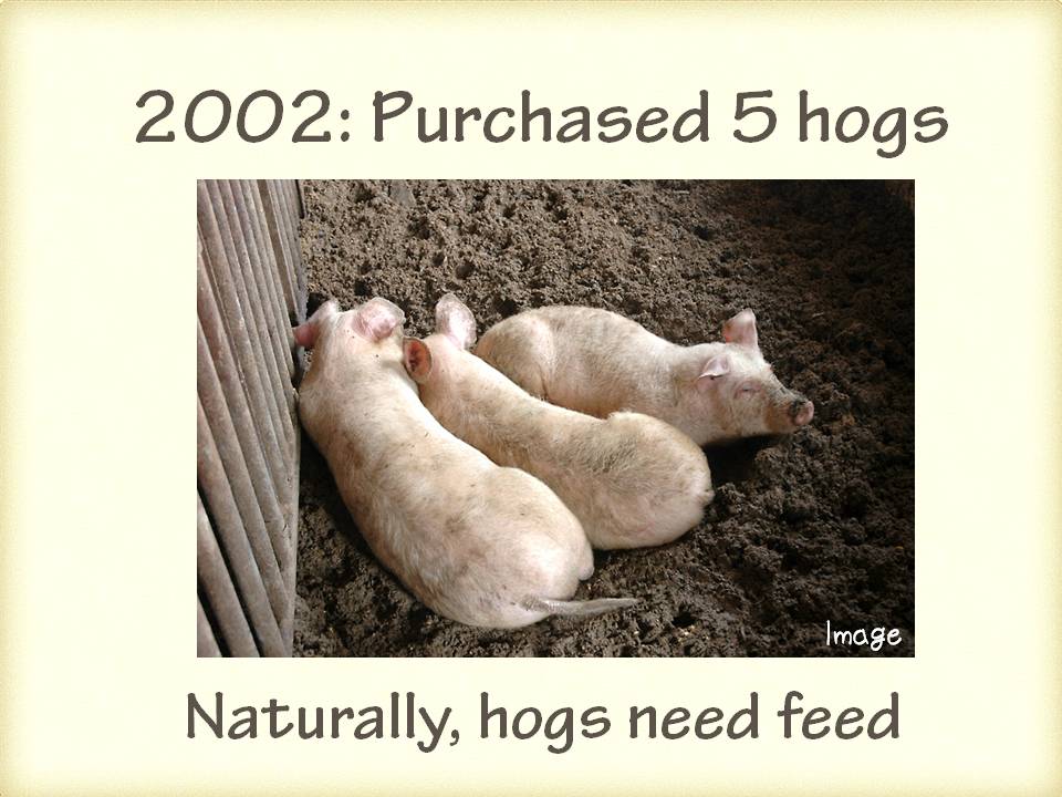 Business description Hog raising │ OGAWA GROUP